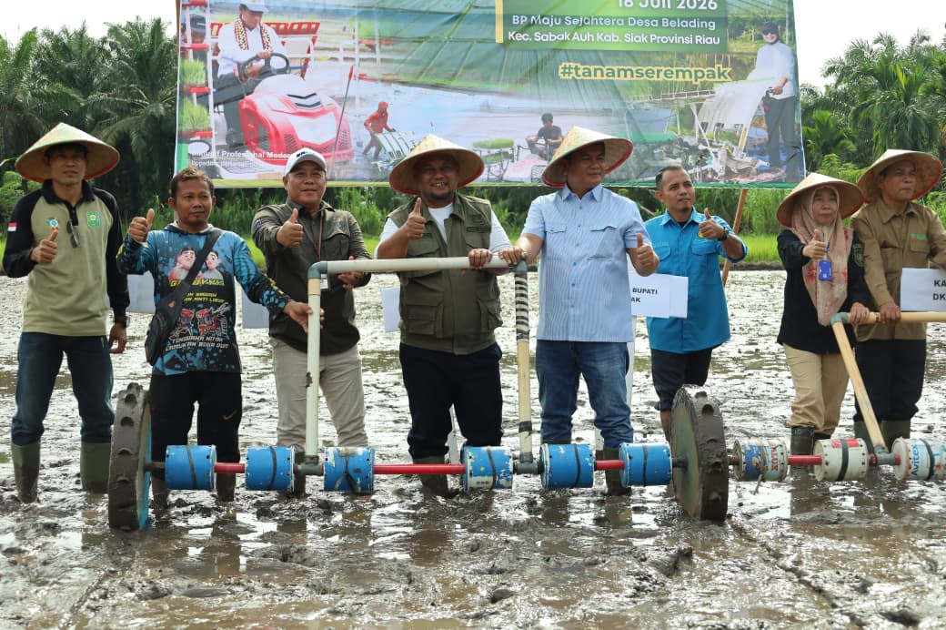 Kabupaten Siak Dorong Peningkatan Produktivitas Padi Melalui Gerakan Oplah
