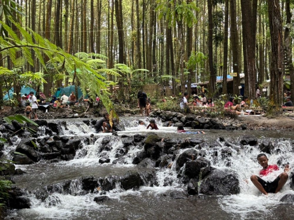 Kalipinusan Poncosumo Menjadi Magnet Wisatawan di Lumajang
