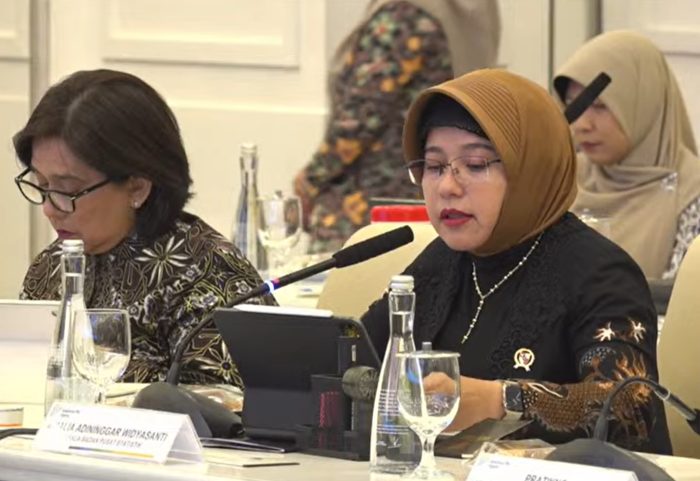 Penurunan Angka Kelahiran di Kalangan Perempuan Muda Indonesia