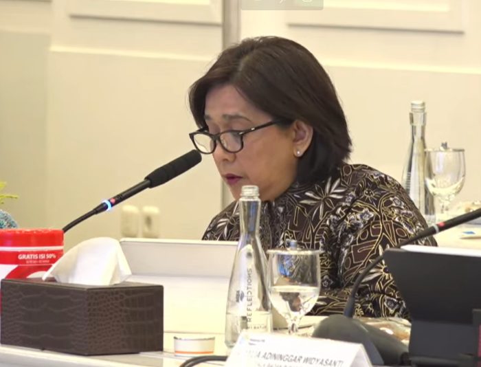 Bappenas Tekankan Pendekatan Daerah dalam Upaya Kurangi Kematian Ibu dan Anak