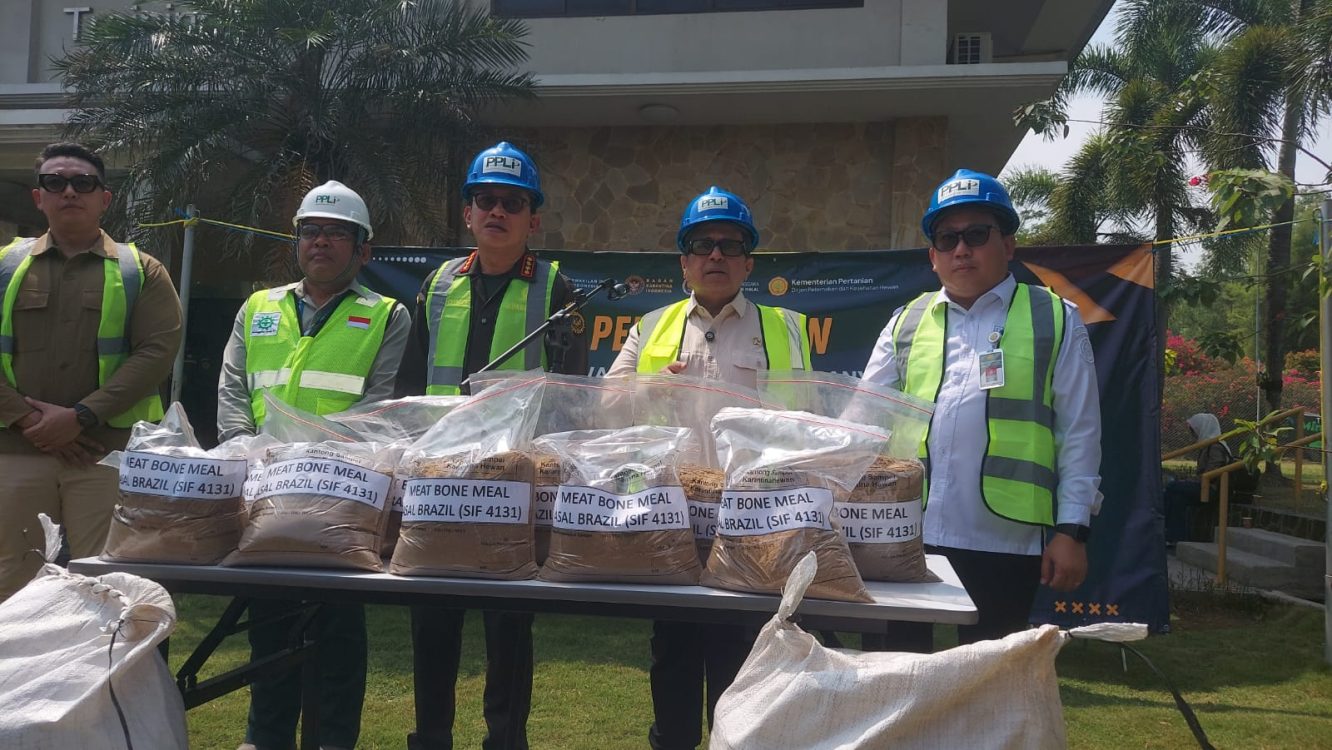 Pemerintah Hancurkan 312 Ton Bahan Pakan Ternak Terkontaminasi dari Brasil