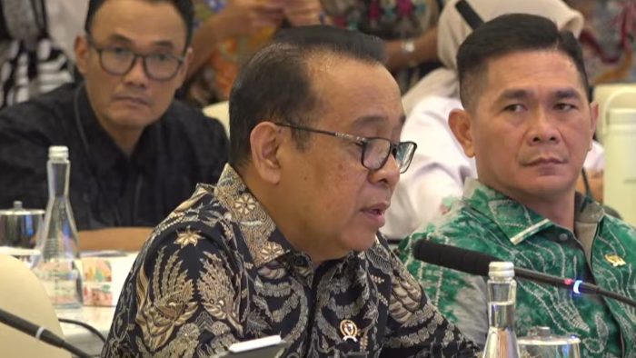 Kolaborasi Pusat dan Daerah Diperlukan untuk Menurunkan Angka Kematian Ibu dan Anak di Indonesia Timur