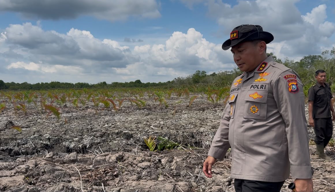 Polda Riau Ungkap Perambahan Hutan 118 Hektare di Rokan Hilir