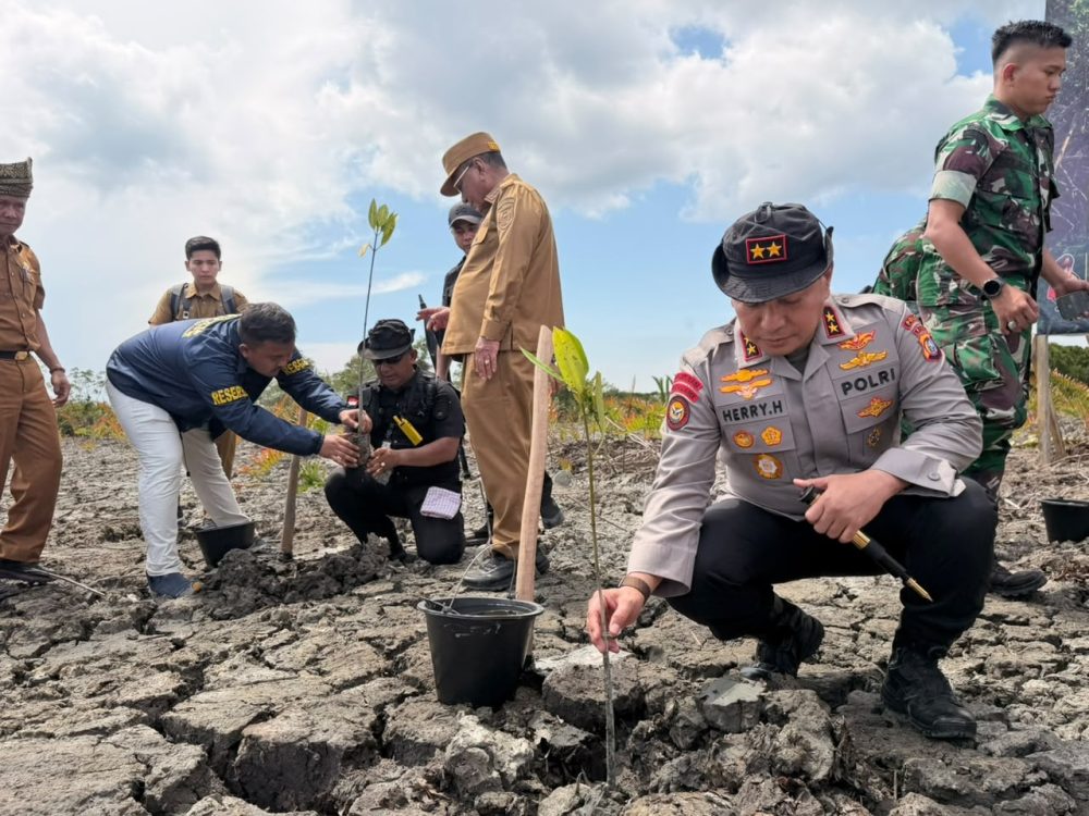 Polda Riau Lakukan Penanaman Mangrove di Rohil Setelah Bongkar Perambahan