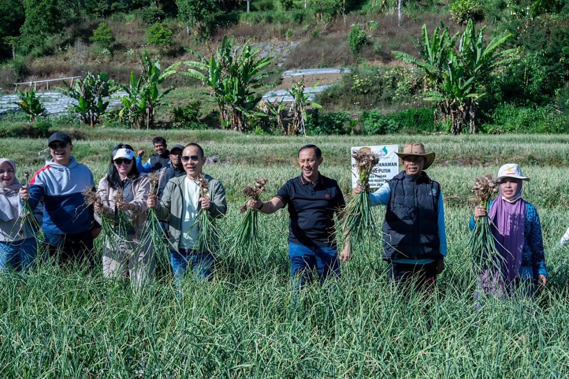 Satgas Pangan Polri Tingkatkan Swasembada Bawang Putih di Sembalun