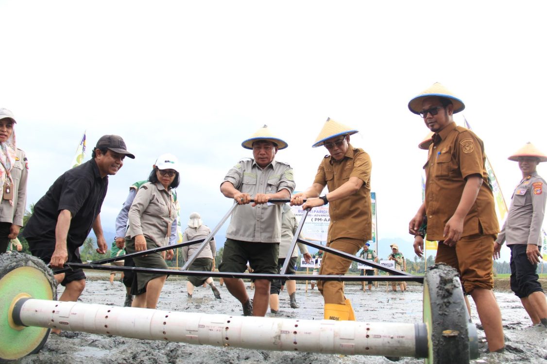 Bupati Parigi Moutong Luncurkan Gerakan Tanam Padi Perdana