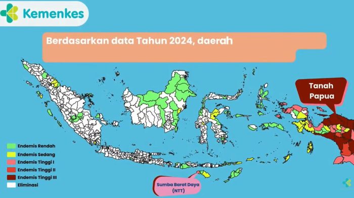 Upaya Indonesia Menuju Eliminasi Malaria pada 2030