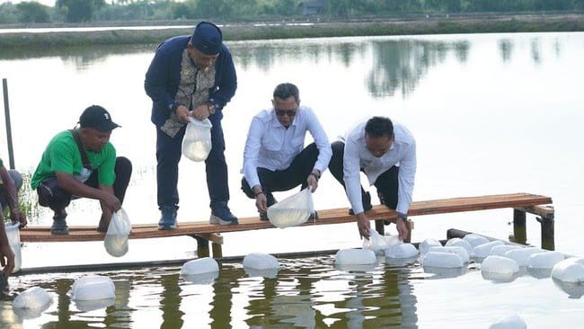 KKP Berupaya Pulihkan 15 Ribu Hektare Tambak di Aceh hingga 2026