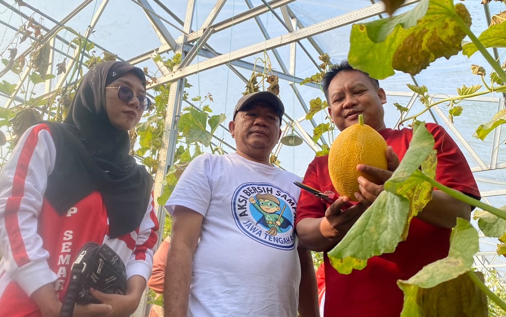 : BUMDes Desa Depok menggelar wisata petik melon bernuansa kemerdekaan di Greenside Farm Desa Depok, Kabupaten Batang.
