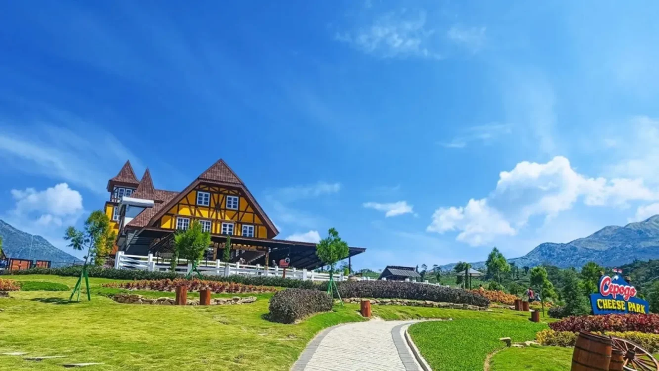Cepogo Cheese Park Boyolali, Wisata Edukasi Keluarga dengan Panorama Merapi-Merbabu