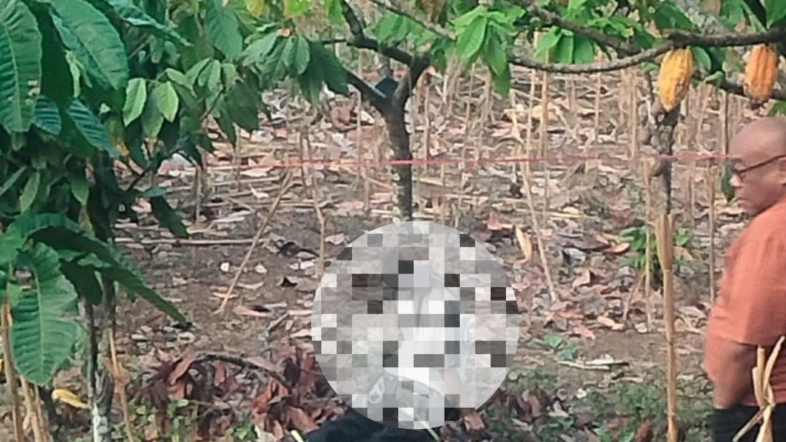 Perempuan Muda Diduga Gantung Diri di Ponjong, Jenazah Diperiksa Tim Medis
