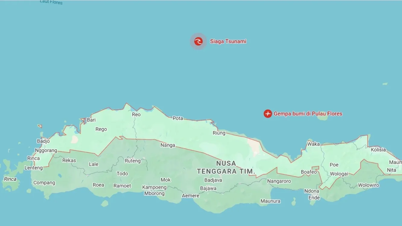 Daftar Tsunami akibat Gempa NTT: 10 Titik, Tertinggi 0,94 Meter