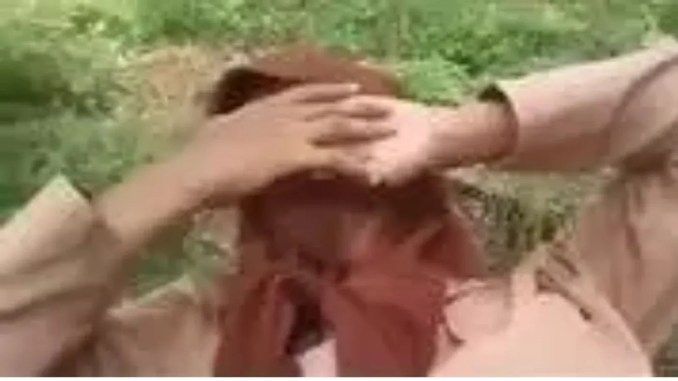 Viral Link Video Cilbo Mainan Pak Guru Bikin Netizen Gak Bisa Tidur