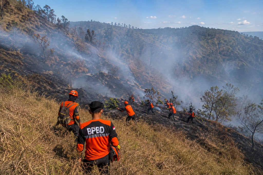 : BPBD Lumajang. (Istimewa)