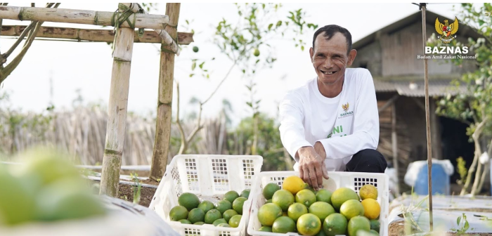 : Ilustrasi foto petani menjajakan hasil produksi buah-buahan lahannya. (Foto: Baznas)