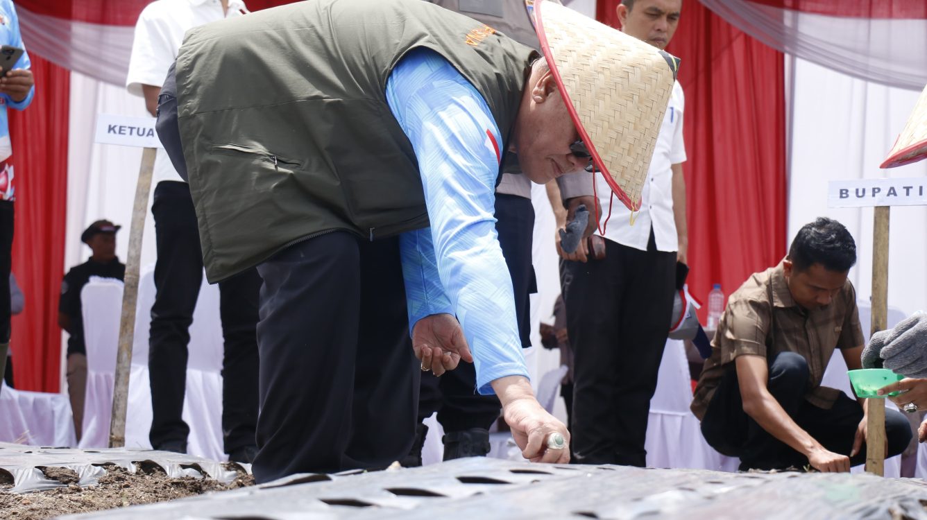 : Bupati Bener Meriah H. Tagore Abubakar turun langsung menanam bibit bawang putih dalam kegiatan yang digelar secara virtual dan diikuti 17 provinsi.