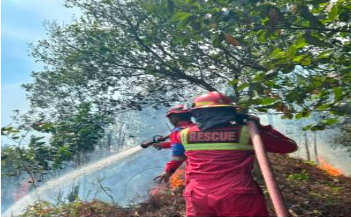 : BPBD bersama relawan dan damkar melakukan pemadaman dan pendinginan di lokasi karhutla yang dapat dijangkau pada wilayah Kabupaten Kutai Kartanegara, Provinsi Kalimantan Timur, Rabu (19/8/20026). (Dok. BPBD Kutai Kartanegara)
