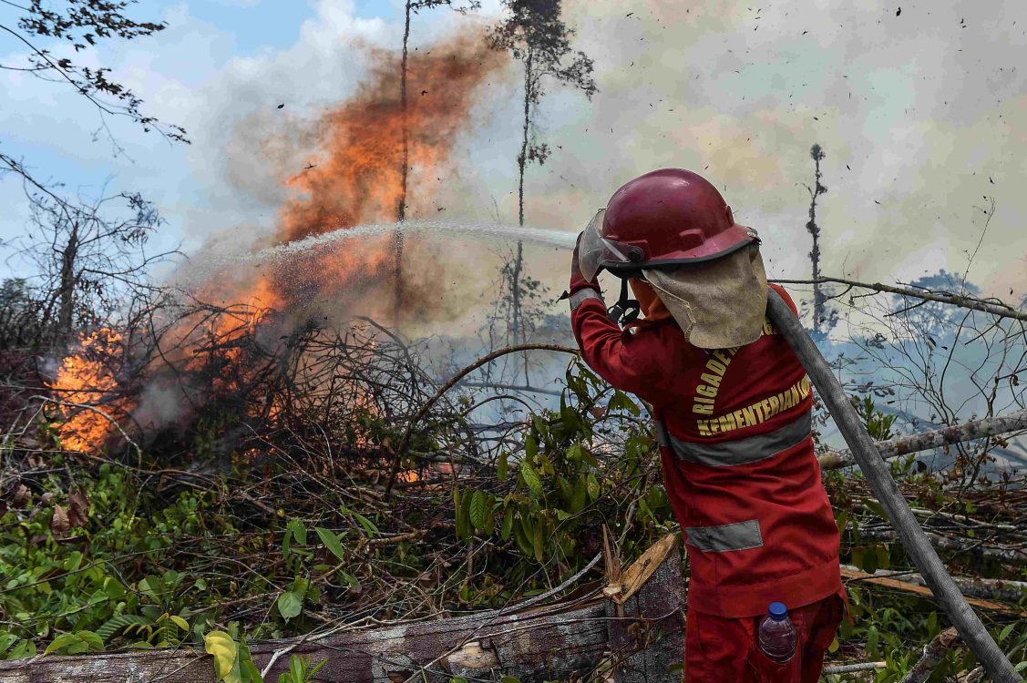 : Petugas Manggala Agni Daops Muara Bulian memadamkan api yang membakar lahan di Tenam, Batang Hari, Jambi, Jumat (21/8/2026). Petugas Manggala Agni bersama prajurit TNI terus mengupayakan pemadaman kebakaran hutan dan lahan (karhutla) di daerah itu yang telah memasuki hari kedua dengan luas lahan terbakar mencapai empat hektare. (ANTARA FOTO/Wahdi Septiawan/YU)