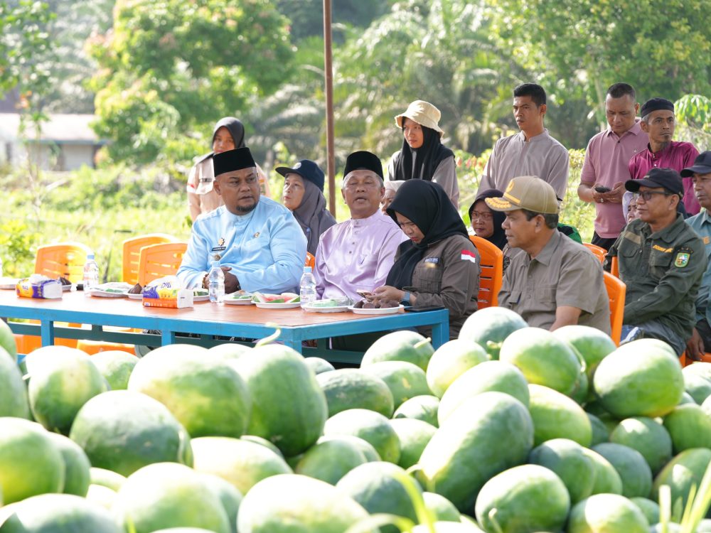 : Wakil Bupati Siak Syamsurizal panensangka di Koto Ringin, Kecamatan Mempura, Siak, Jum'at (7/8/2026)/ (Doli : MC Siak)