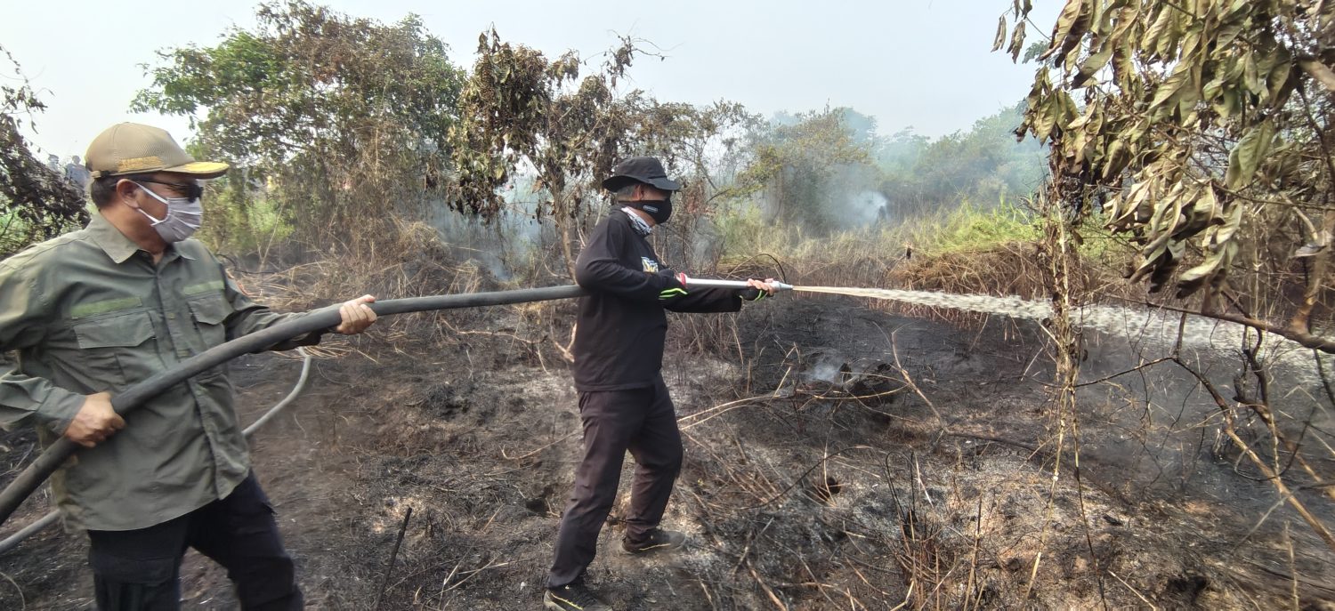: Pimpinan daerah HSU turun langsung ke lokasi titik api untuk membantu petugas gabungan memadamkan kebakaran lahan yang melanda kawasan Desa Beringin, Kecamatan Banjang, Jumat (21/8/2026) sore.