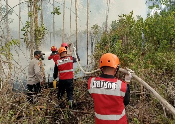 Cegah Api Meluas, Sat Brimob Polda Kaltim Respons Cepat Bantu Tangani Karhutla di Beberapa Wilayah