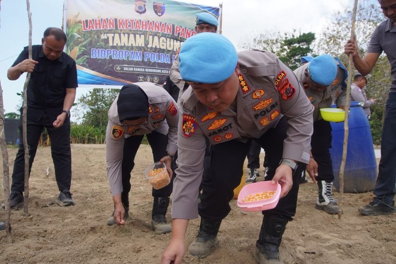 Dukung Ketahanan Pangan, Anggota Polda Maluku Tanam Jagung Seluas Dua Hektare di Buru