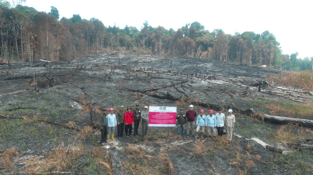 : Kementerian Kehutanan menjatuhkan sanksi administratif kepada enam perusahaan pemegang Perizinan Berusaha Pemanfaatan Hutan (PBPH) setelah hasil pengawasan menemukan kebakaran hutan dan lahan (karhutla) pada areal yang mereka kelola dengan total luas mencapai 1.511,55 hektare di Kalimantan Barat, Kalimantan Tengah, dan Kalimantan Timur. (Foto: Humas Kemenhut)