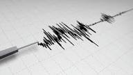 Gempa Bumi Bermagnitudo 3,6 Guncang Mbay, Nagakeo, Nusa Tenggara Timur