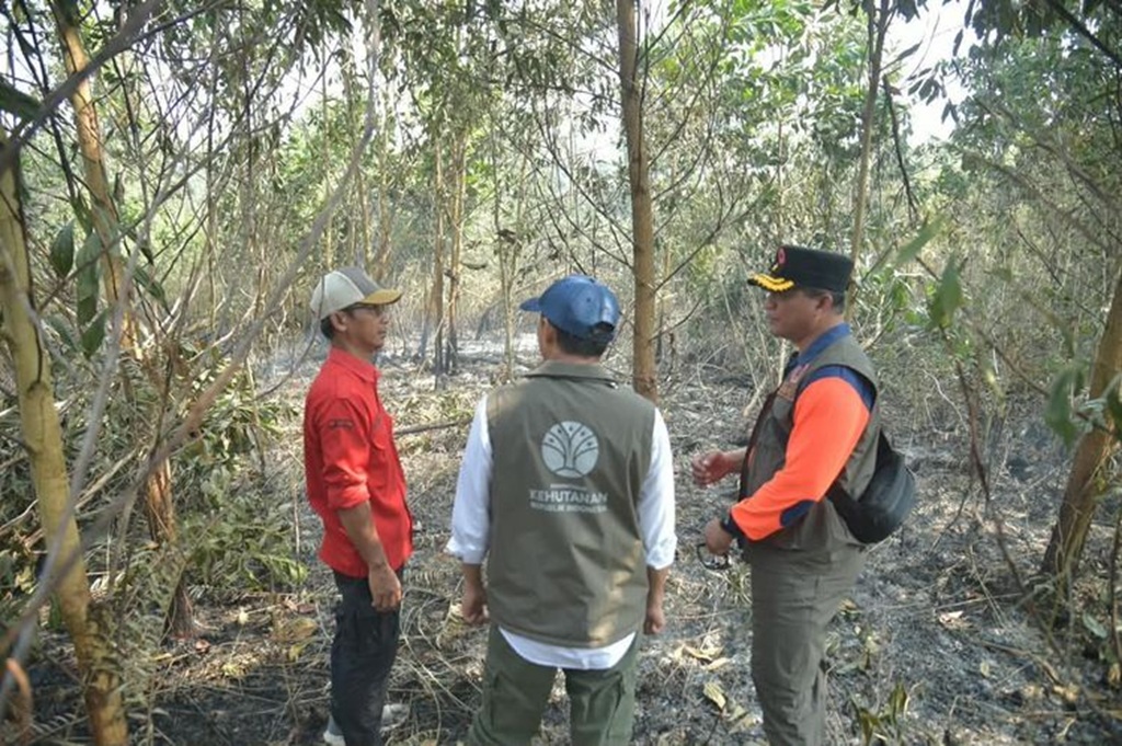 : Menteri Kehutanan Raja Antoni meninjau langsung penanganan kebakaran hutan dan lahan (karhutla) di Kabupaten Banjar, Kalimantan Selatan. Di lokasi, kondisi lahan gambut masih mengeluarkan asap meski api di permukaan sudah tidak terlihat. (foto: Humas Kemenhut)