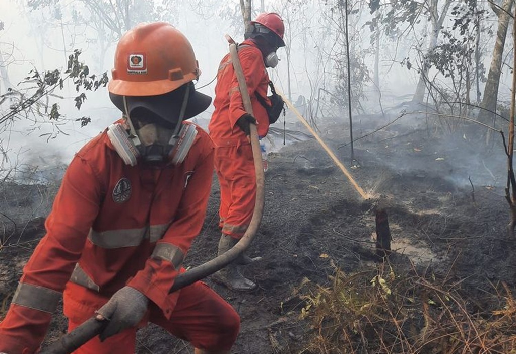 : ilustrasi petugas Manggala Agni memadamkan karhutla di Kalimantan. (Foto: Humas Kemenhut)