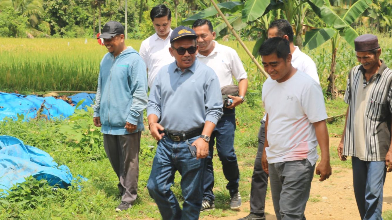 Pemko Padang Genjot Pembangunan Infrastruktur Huntap Batu Busuak, Selesai Oktober