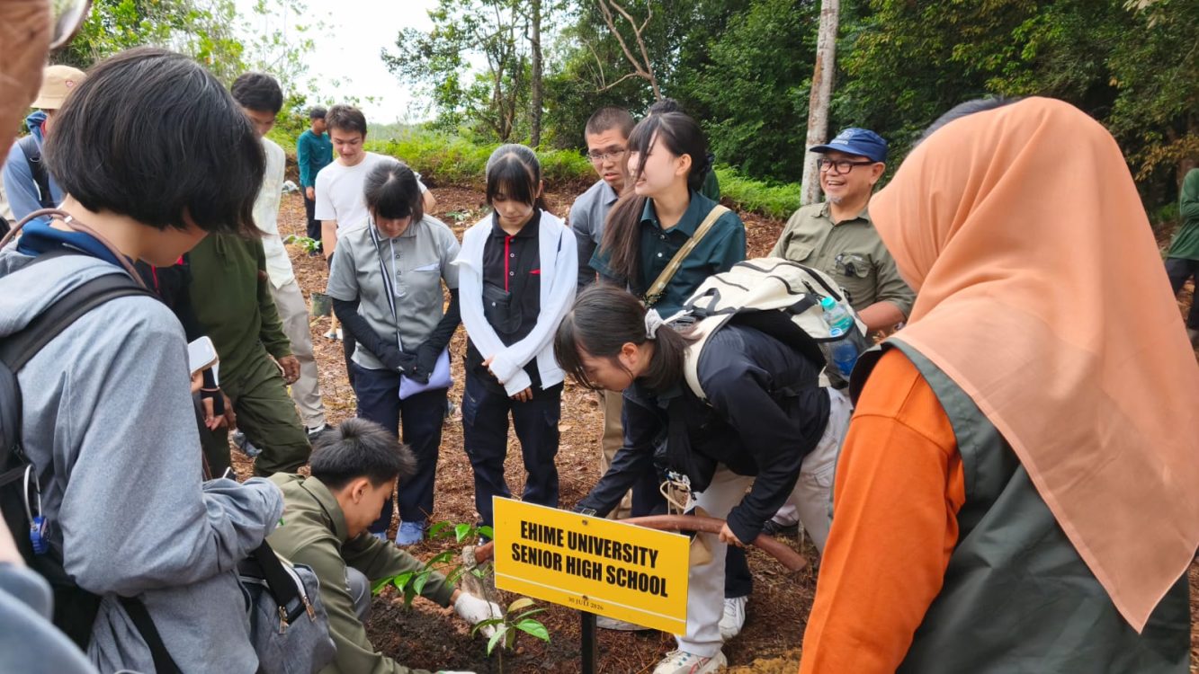 Kolaborasi Pelajar Jepang dan Belantara Foundation untuk Pemulihan Hutan di Riau