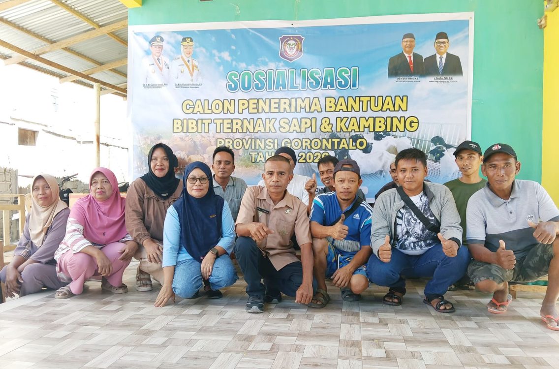Pemprov Gorontalo Gelar Sosialisasi Hibah Bibit Ternak