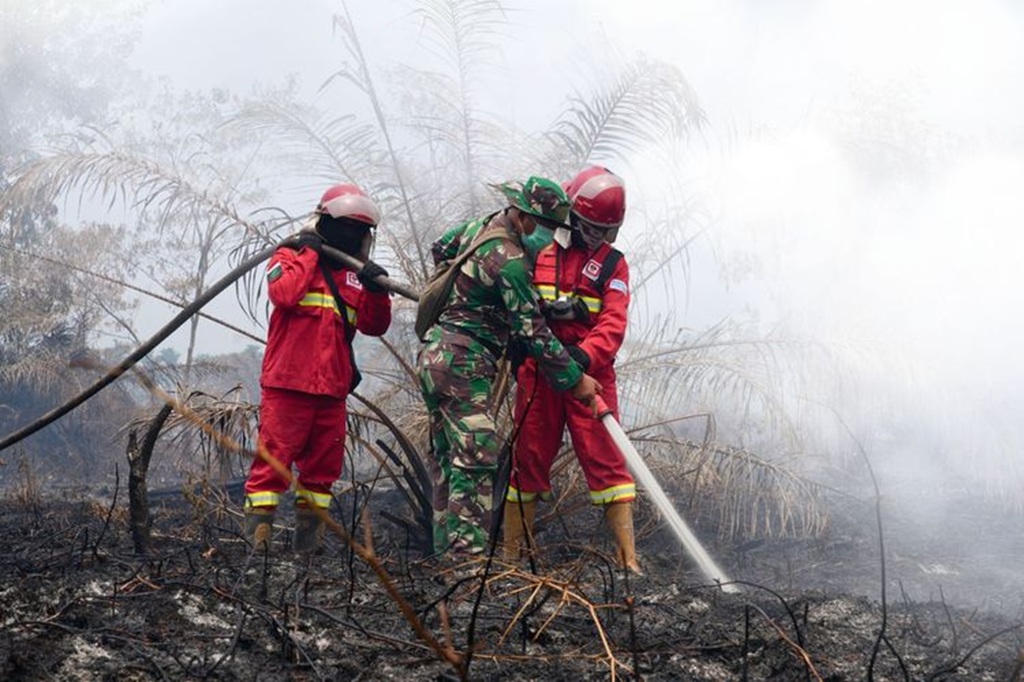 : Manggala Agni Kemenhut berama personel TNI bersama-sama melakukan pemadaman karhutla. (foto: Humas Kemenhut)