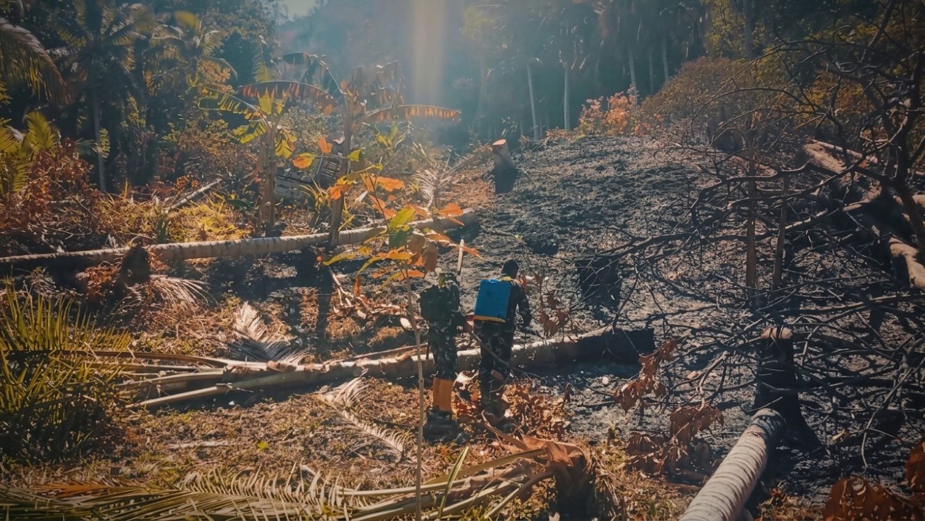 : Tim gabungan memadamkan kebakaran hutan dan lahan (karhutla) di Desa Alindau, Kecamatan Sindue Tobata, Kabupaten Donggala, Sulawesi Tengah. Penanganan melibatkan personel TNI, BPBD, pemadam kebakaran, kepolisian, dan masyarakat untuk mengendalikan titik api dan mencegah kebakaran meluas. (Foto: Ist.)