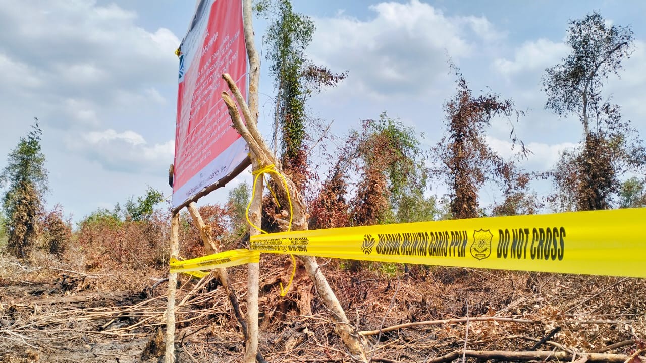 : Lahan konsesi PT Bintang Harapan Palma yang disegel Kemen LH. (foto: Humas Kemen LH)