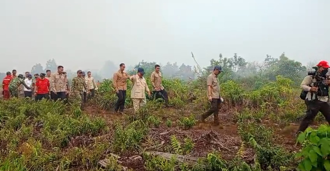 : Istimewa
