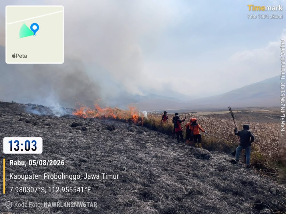 Karhutla Melanda Kawasan Gunung Bromo, Upaya Pemadaman Telah Dilakukan