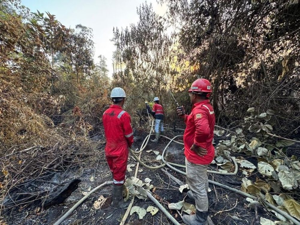 : Situasi penanganan karhutla oleh Manggala Agni Kemenhut (foto: Humas Kemenhut)