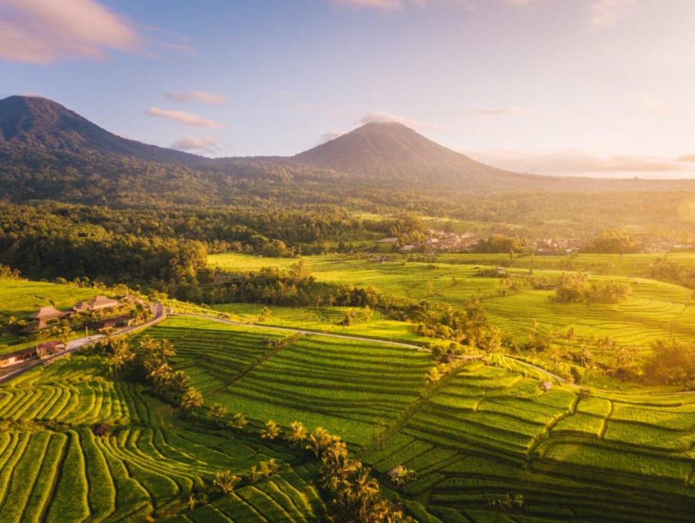 Keunikan Desa Jatiluwih Bali. Lebih dari Sekadar Desa Wisata dengan Sawah