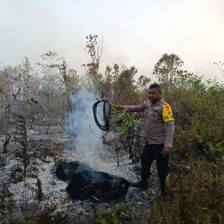 Penanganan Karhutla Hari Keenam, Brimob Kembali Turun di Biak