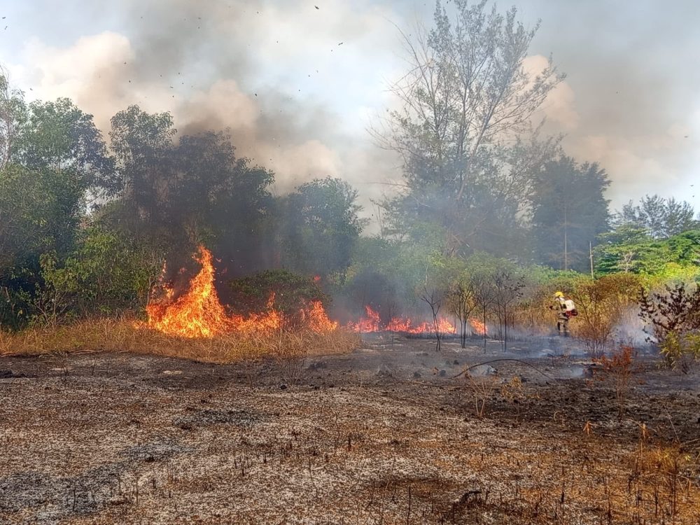 Perkembangan Situasi dan Penanganan Bencana di Tanah Air Pada 7 Agustus 2026
