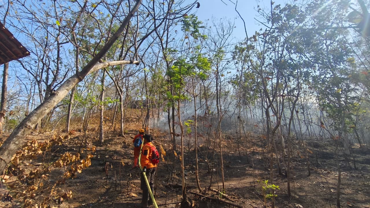 Perkembangan Situasi dan Penanganan Bencana di Tanah Air per 9 Agustus 2026