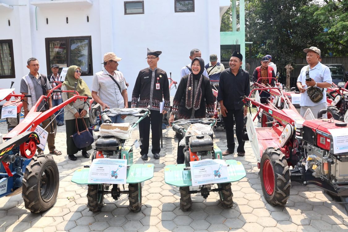 : Istimewa