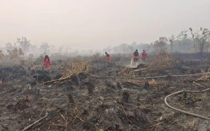 : Petugas terus berupaya melakukan penanganan Karhutla di Kawasan Petuk Katimpun, Palangka Raya, Rabu (19/8/2026)/ Antaranews.