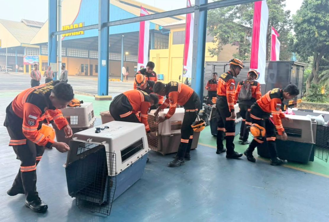 : Polri kerahkan 10 anjing pelacak (K9) Search and Rescue (SAR) untuk memperkuat operasi pencarian korban pascagempa bumi di Flores, Nusa Tenggara Timur (NTT)/ (Dok. Divhumas Polri).
