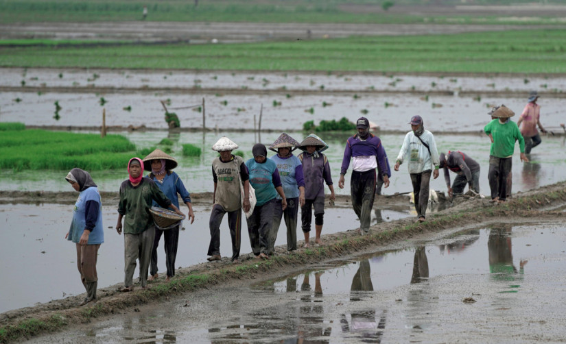 Revisi UU Perlindungan dan Pemberdayaan Petani Diarahkan Dorong Regenerasi dan Kesejahteraan Petani