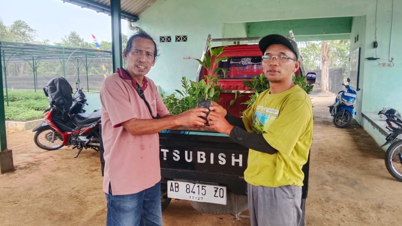 : Sinergi pelestarian olahraga tradisional dan aksi penghijauan lingkungan menjadi langkah inovatif dalam memperkuat peran perempuan tani menjaga keseimbangan ekosistem daerah. BPTH Wilayah III Yogyakarta bagikan 180 bibit tanaman, Kamis (20/8/2026).