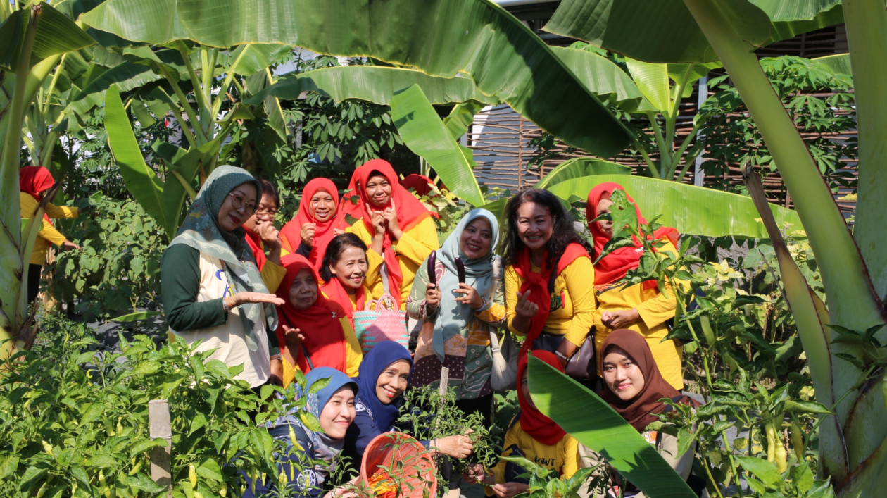 Sulap Lahan Terbengkalai Jadi Sumber Ketahanan Pangan