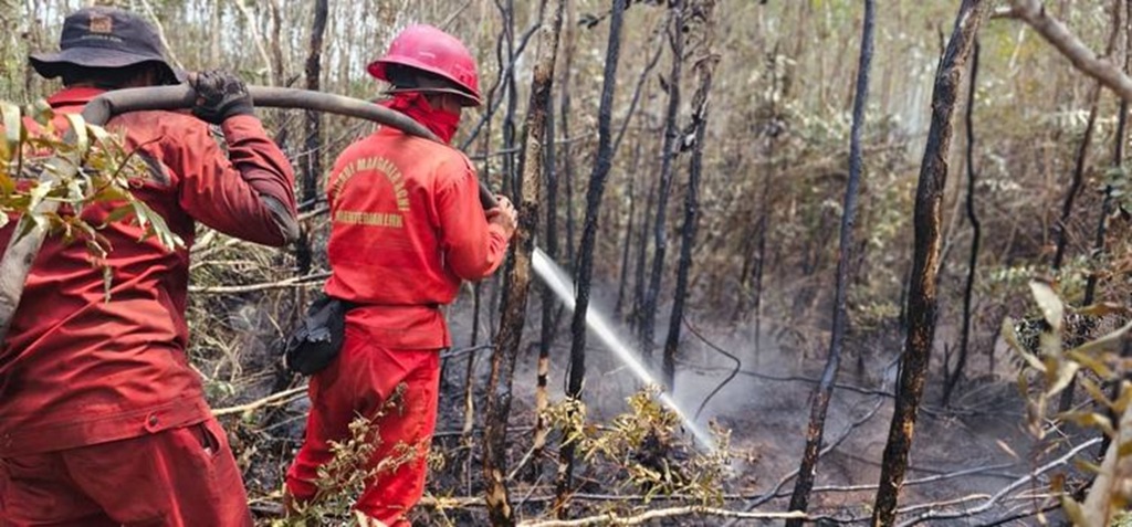 : Kementerian Kehutanan (Kemenhut) memperketat penanganan kebakaran hutan dan lahan (karhutla) di Provinsi Sumatera Selatan melalui penebalan personel, intensifikasi pemadaman darat-udara, serta penegakan hukum yang tegas di lapangan.. (foto: Humas Kemenhut)